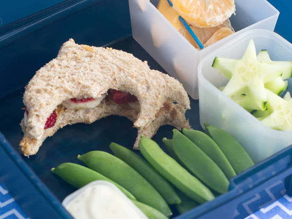 Ocean-Inspired Bento Box